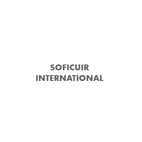 Logo Soficuir International